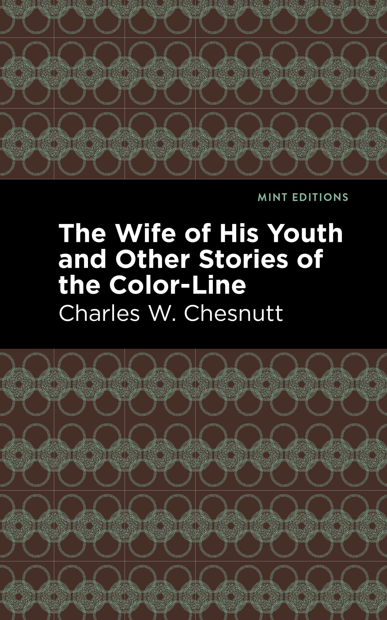 Cover image for The Wife of His Youth and Other Stories of the Color Line ISBN 9781513204703